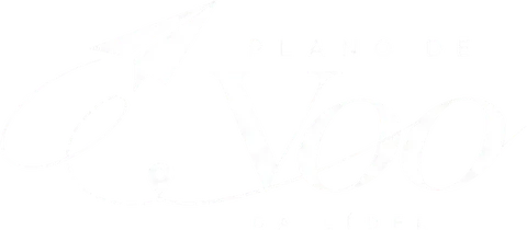Plano de Voo da Líder, Clarice Sousa
